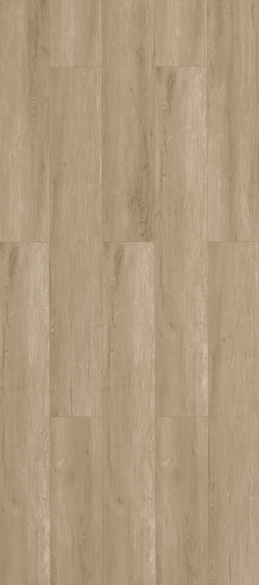 CAMBRIDGE Wooden Look SPC Flooring- 48 x 7 inch (1220 x 181 mm) - 5 mm | 10 Years Warranty | Unilin Click N Lock Technology