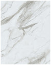 CALCATTA ANGELO - Stone Look SPC Flooring - 48 x 7 inch (1220 x 181 mm) - 5 mm | 10 Years Warranty | Unilin Click N Lock Technology