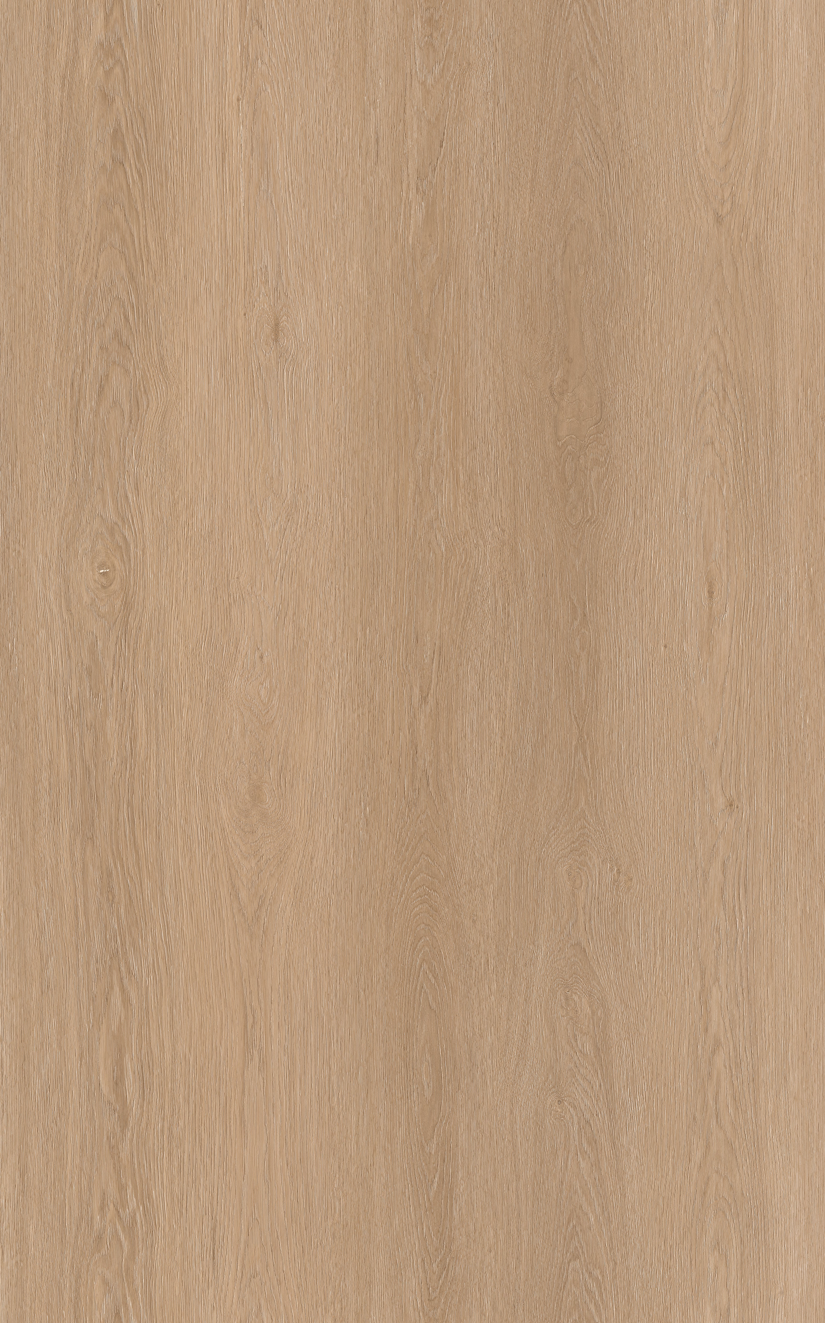 MOUNTAIN PINE - Wooden Look SPC Flooring - 48 x 7 inch (1220 x 181 mm) - 5 mm | 10 Years Warranty | Unilin Click N Lock Technology